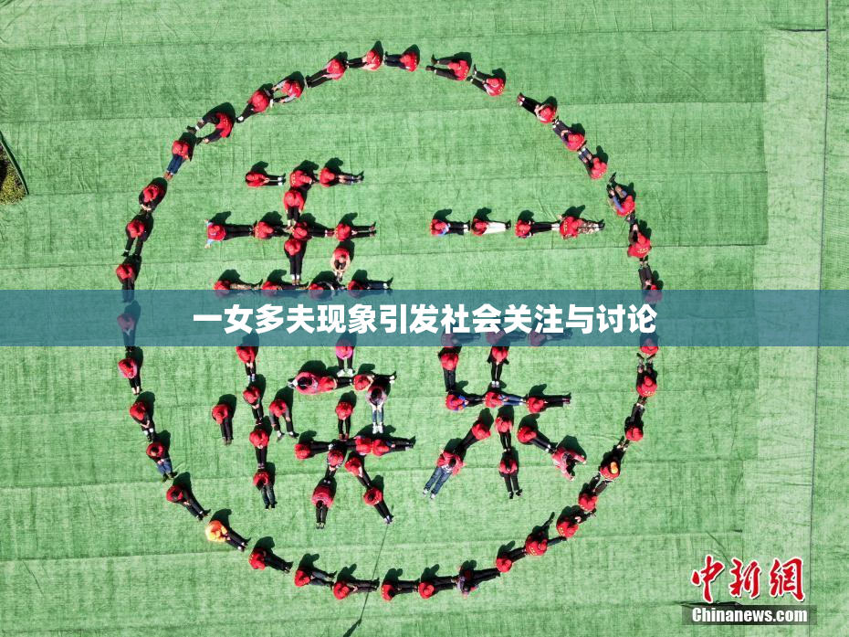 一女多夫现象引发社会关注与讨论