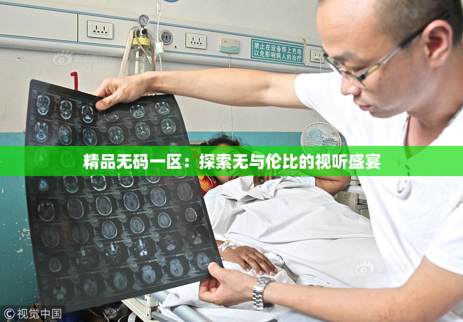 精品无码一区：探索无与伦比的视听盛宴