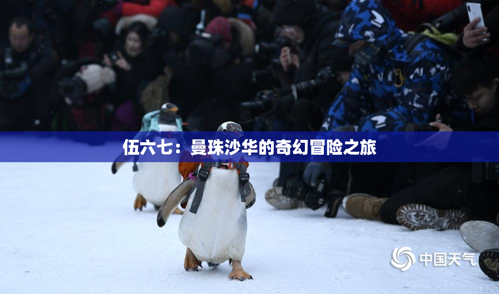 伍六七：曼珠沙华的奇幻冒险之旅