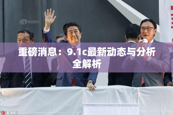 重磅消息：9.1c最新动态与分析全解析