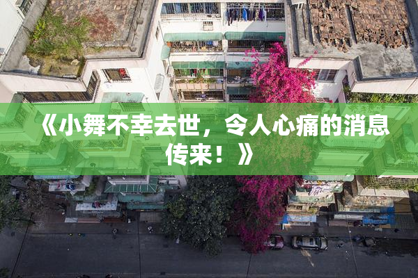 《小舞不幸去世，令人心痛的消息传来！》