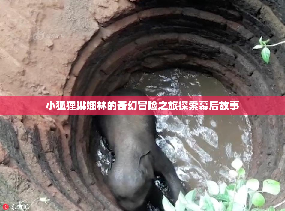 小狐狸琳娜林的奇幻冒险之旅探索幕后故事