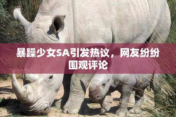 暴躁少女SA引发热议，网友纷纷围观评论