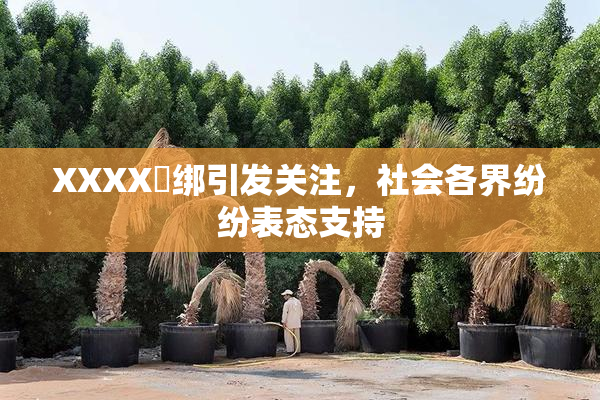 XXXX秵绑引发关注，社会各界纷纷表态支持