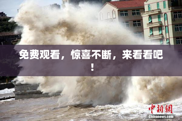 免费观看，惊喜不断，来看看吧！