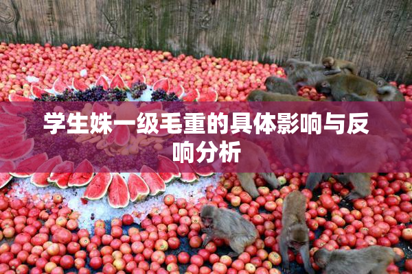 学生姝一级毛重的具体影响与反响分析