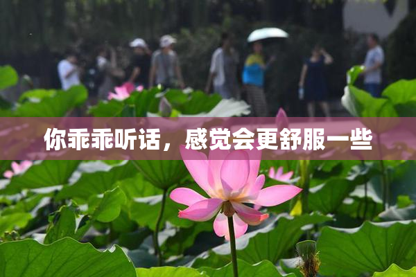 你乖乖听话，感觉会更舒服一些