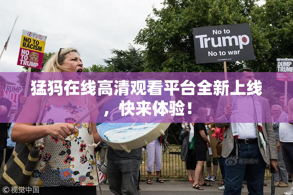 猛犸在线高清观看平台全新上线，快来体验！