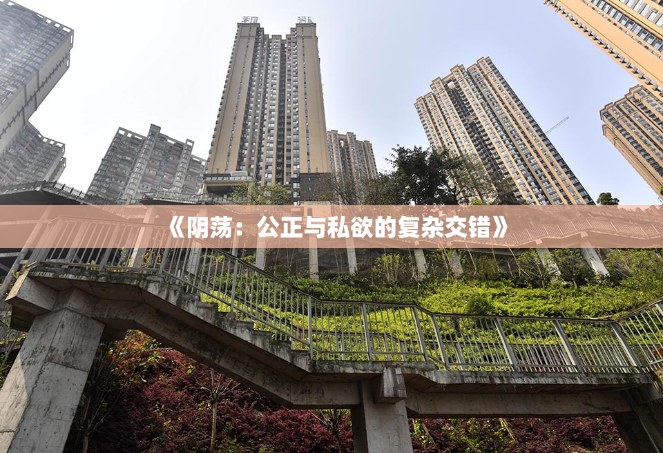 《阴荡：公正与私欲的复杂交错》