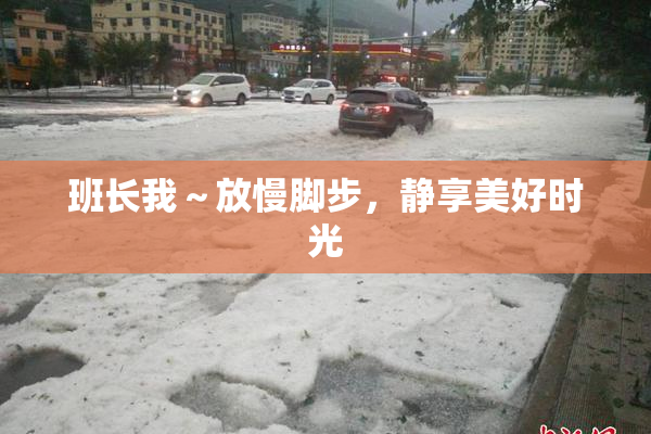 班长我～放慢脚步，静享美好时光