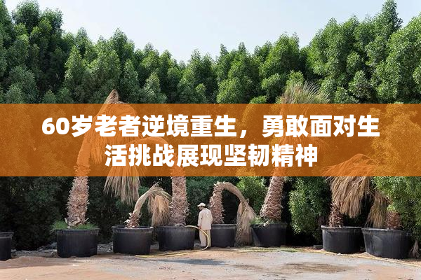 60岁老者逆境重生，勇敢面对生活挑战展现坚韧精神
