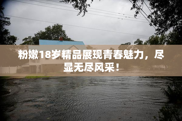 粉嫩18岁精品展现青春魅力，尽显无尽风采！