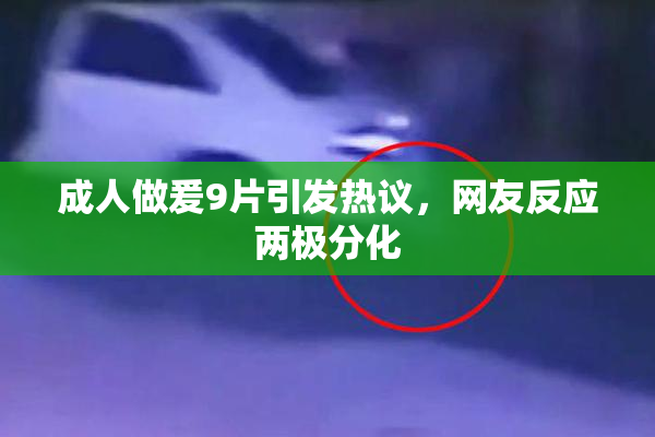 成人做爰9片引发热议，网友反应两极分化