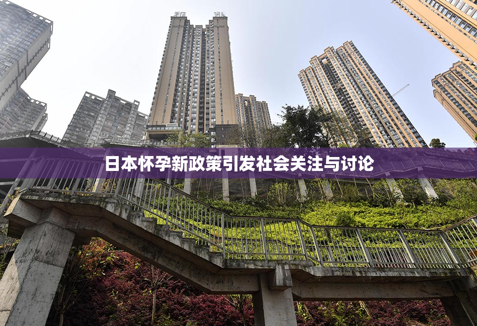 日本怀孕新政策引发社会关注与讨论
