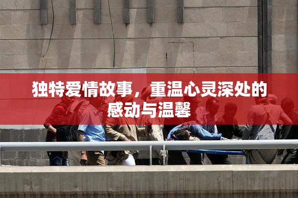 独特爱情故事，重温心灵深处的感动与温馨