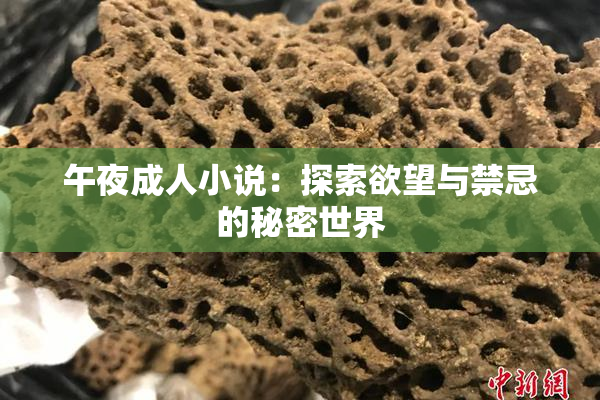 午夜成人小说：探索欲望与禁忌的秘密世界