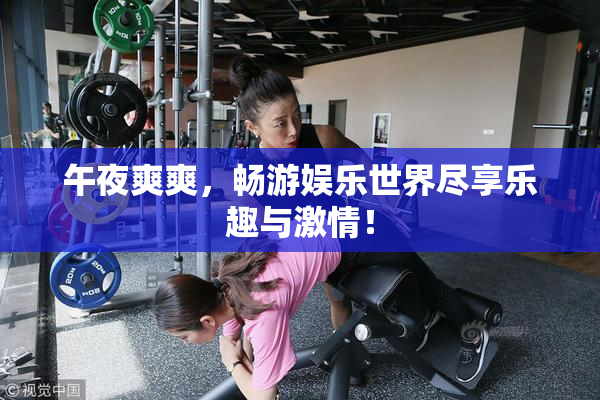 午夜爽爽，畅游娱乐世界尽享乐趣与激情！