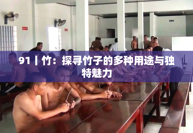 91丨竹：探寻竹子的多种用途与独特魅力
