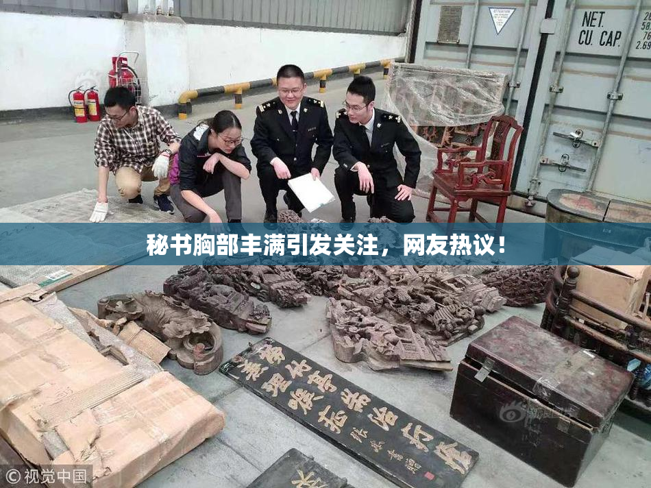 秘书胸部丰满引发关注，网友热议！