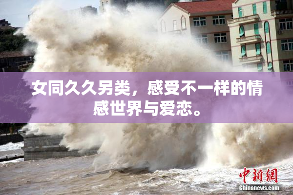 女同久久另类，感受不一样的情感世界与爱恋。