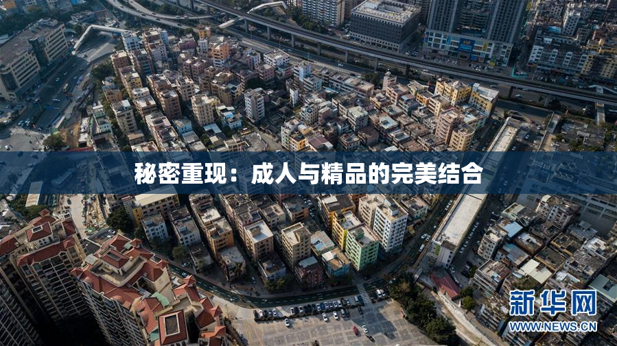 秘密重现：成人与精品的完美结合