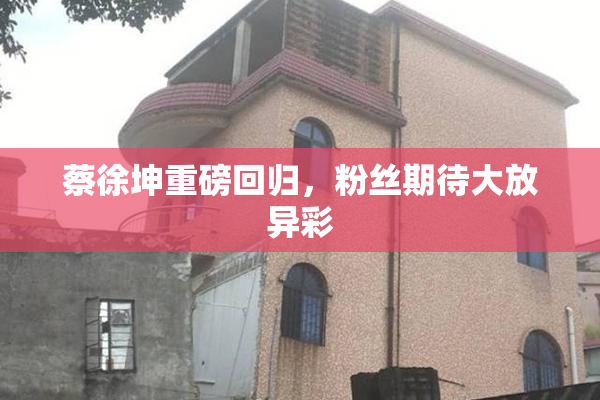 蔡徐坤重磅回归，粉丝期待大放异彩