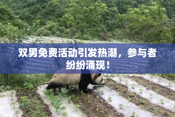 双男免费活动引发热潮，参与者纷纷涌现！