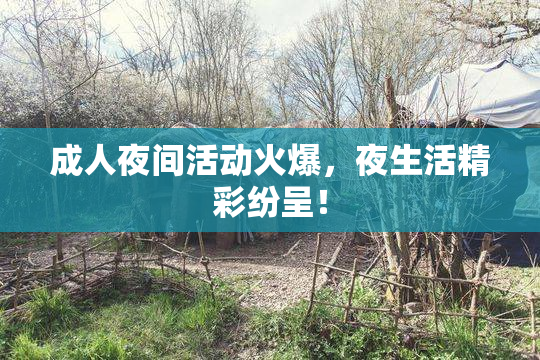 成人夜间活动火爆，夜生活精彩纷呈！
