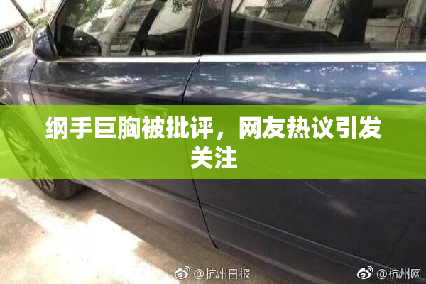 纲手巨胸被批评，网友热议引发关注