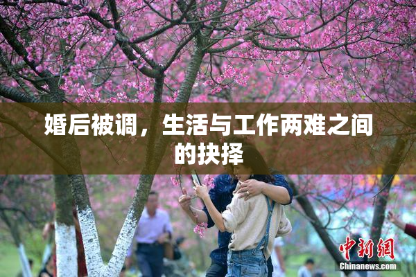 婚后被调，生活与工作两难之间的抉择