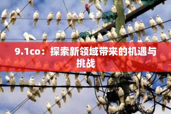 9.1co：探索新领域带来的机遇与挑战