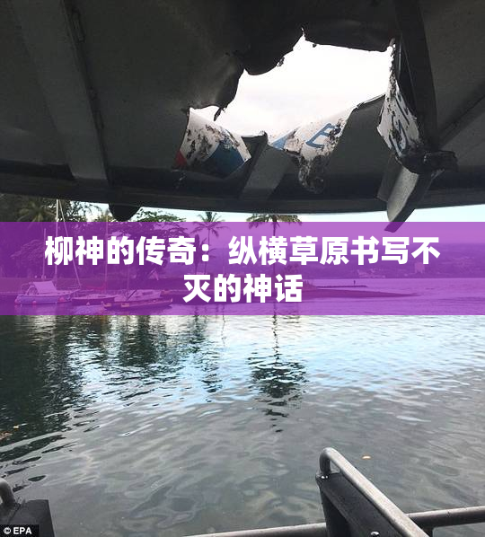柳神的传奇：纵横草原书写不灭的神话