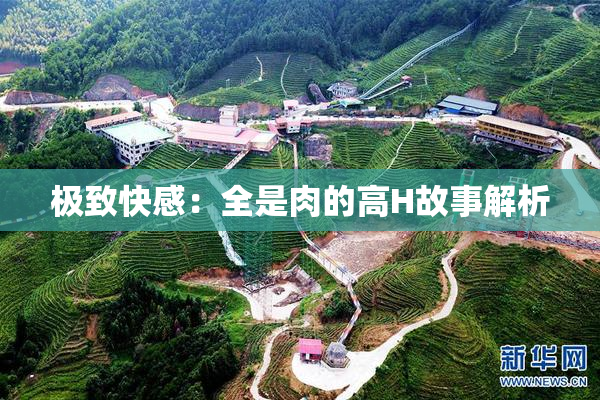 极致快感：全是肉的高H故事解析