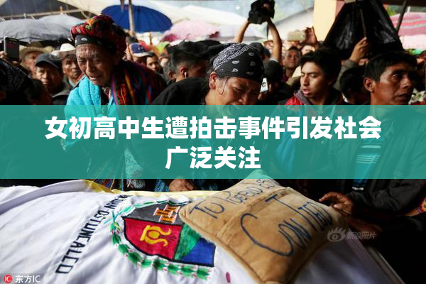 女初高中生遭拍击事件引发社会广泛关注