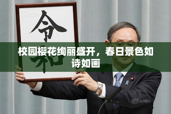 校园樱花绚丽盛开，春日景色如诗如画