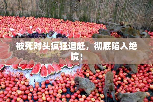 被死对头疯狂追赶，彻底陷入绝境！