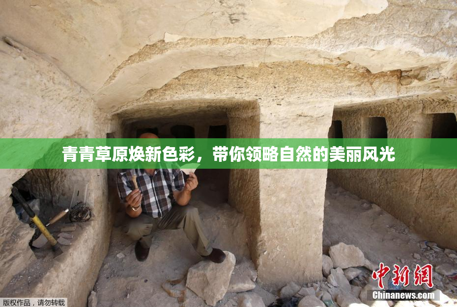 青青草原焕新色彩，带你领略自然的美丽风光
