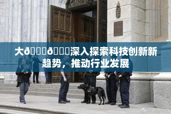 大🐔🐔深入探索科技创新新趋势，推动行业发展