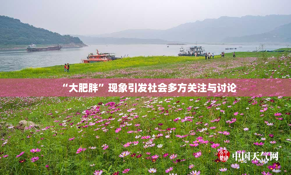 “大肥胖”现象引发社会多方关注与讨论