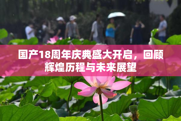 国产18周年庆典盛大开启，回顾辉煌历程与未来展望