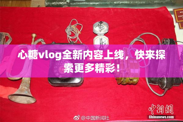 心糖vlog全新内容上线，快来探索更多精彩！