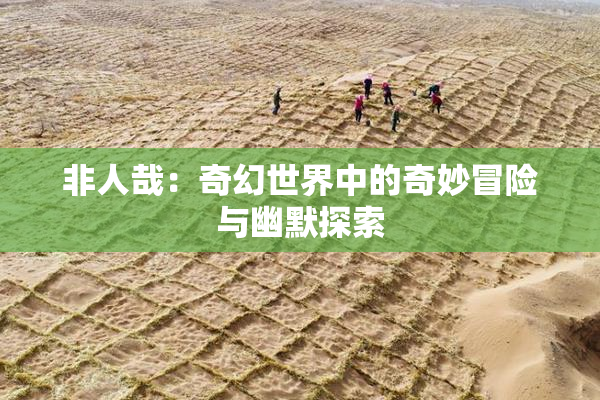 非人哉：奇幻世界中的奇妙冒险与幽默探索