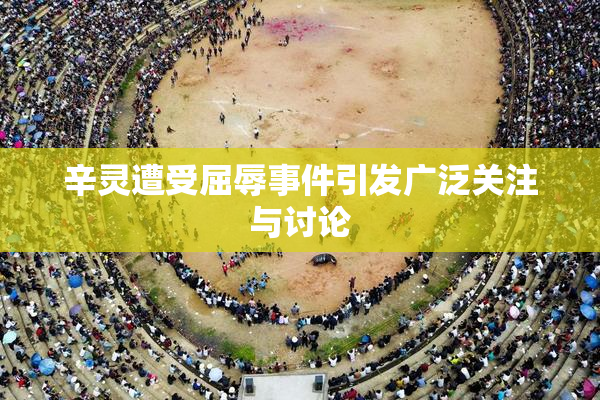 辛灵遭受屈辱事件引发广泛关注与讨论