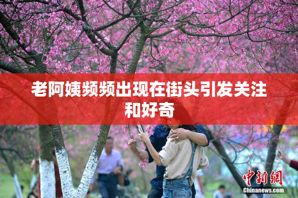 老阿姨频频出现在街头引发关注和好奇