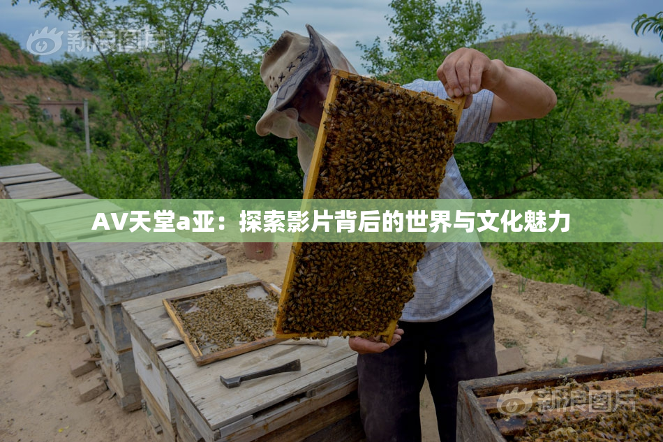 AV天堂a亚：探索影片背后的世界与文化魅力