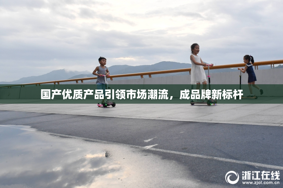 国产优质产品引领市场潮流，成品牌新标杆