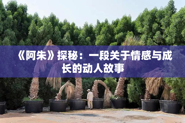 《阿朱》探秘：一段关于情感与成长的动人故事