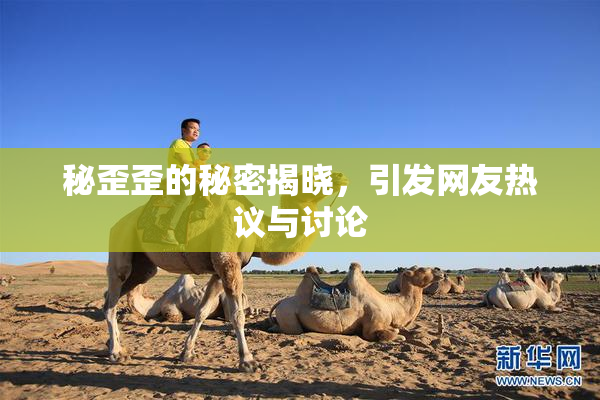 秘歪歪的秘密揭晓，引发网友热议与讨论