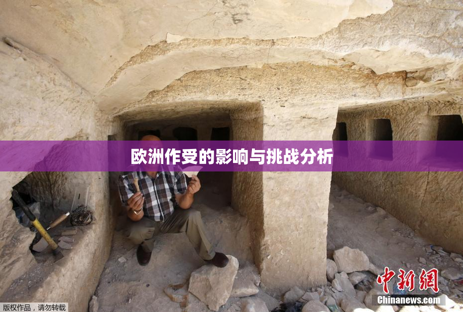 欧洲作受的影响与挑战分析