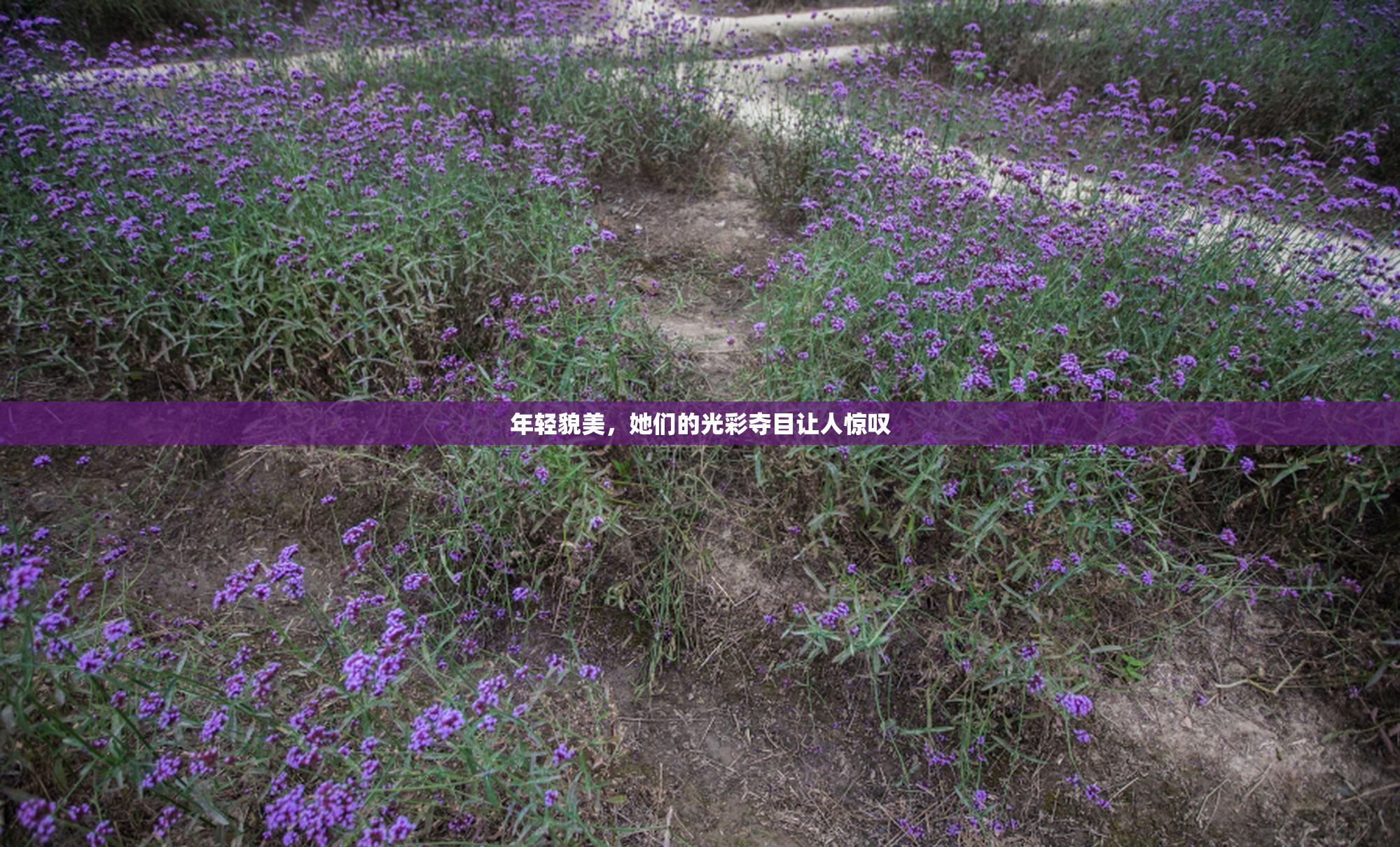 年轻貌美，她们的光彩夺目让人惊叹